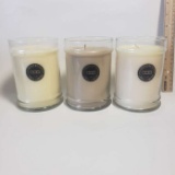 Lot of 3 Bridgewater Candle Co. Assorted Soy Candles