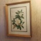 Framed Magnolia Signed Watercolor - V.Ford