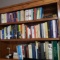 Lot of Assorted Books and Reading Light