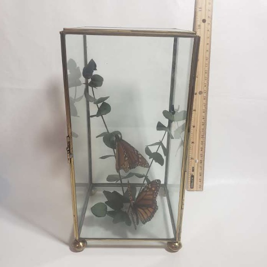 Glass Display Case with Butterflies