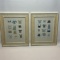 Pair of Pretty Framed Clothes Line Prints by Nina Francis