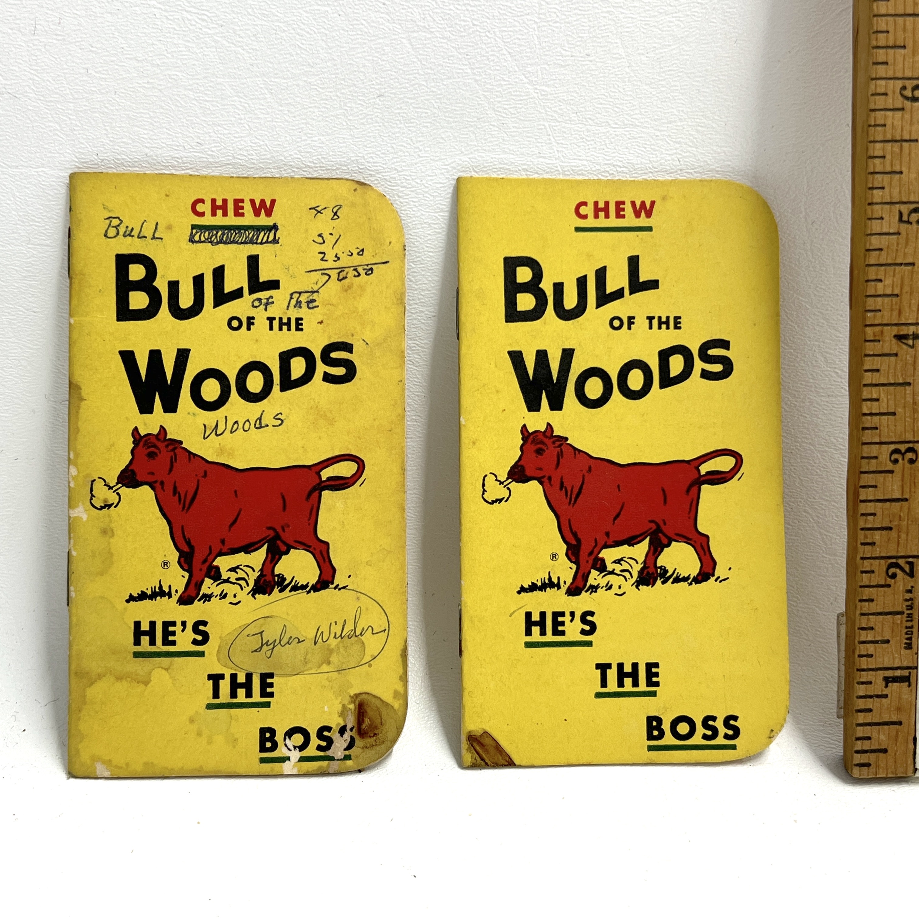 Bull of the Woods