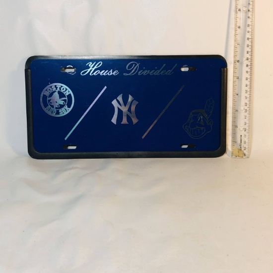 Blue Metal House Divided License Plate Cover