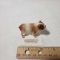 Hagen Renamaker Miniature Bulldog