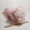 Gund Sinclair Pink Scottie Dog