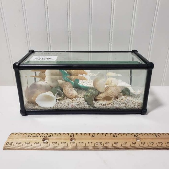Sonoma Life Style Shell Display in Glass Case