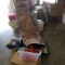 Huge Lot of Assorted Items - Rug, Household Decor, Hand Weights & More