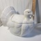 Large Ceramic Turkey Tureen