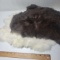Lot of 2 Furs For Crafts