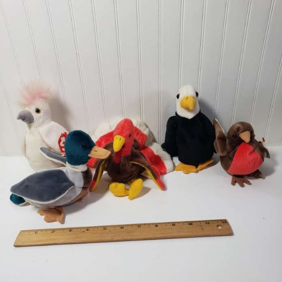 Lot of 5 Ty Beanie Babies Birds with Tags Attached