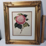 Framed Camellia Print in Beautiful Gold Tone Frame