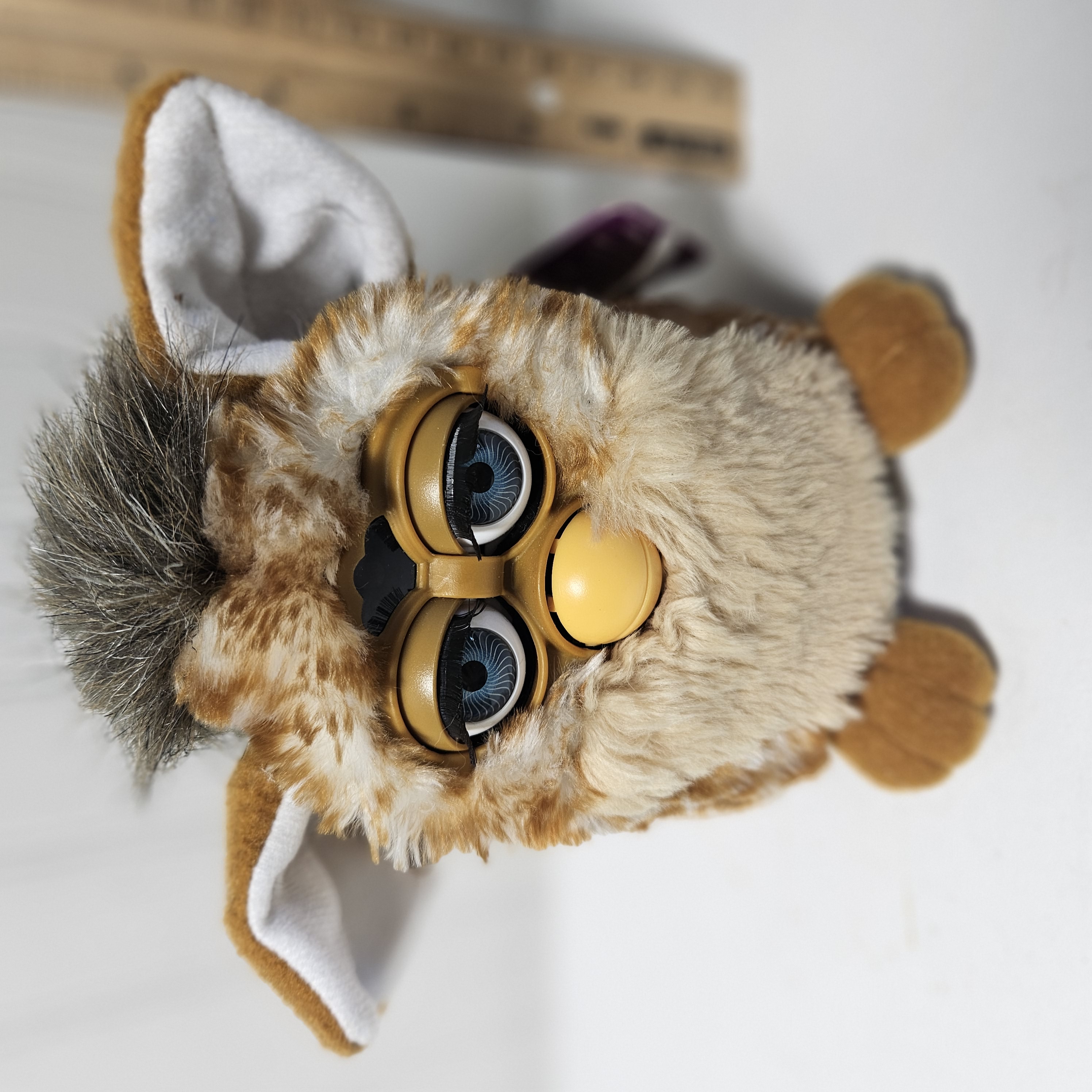 furby with cigarette 21 Signs Your Is Trying To Kill You Millennials scrolling through Zillow