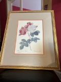 Framed & Matted Floral Print