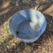 11.5 Gallon Galvanized Wash Tub