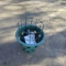 Upside Down Tomato Planter