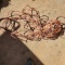 75’ 2 Prong Extension Cord - Works