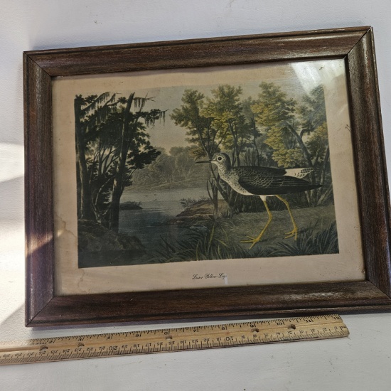 Vintage Bird Print