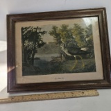 Vintage Bird Print