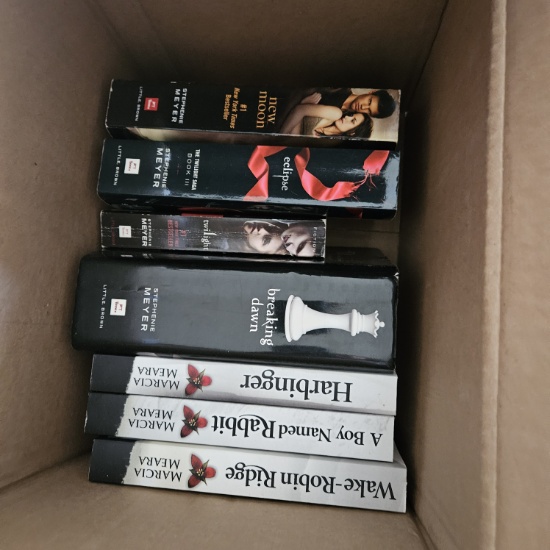Box Lot of Books