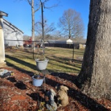 Lot of Yard Decor