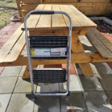 Cosco Folding Step Stool