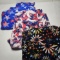 Lot of 3 LulaRoe Tall & Curvy Leggings, Patriotic