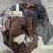 Huge Lot of Assorted Plus Size Clothing