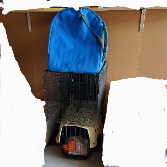 2 Medium Pet Carriers and 2 Story Small Animal Cage