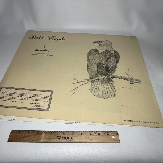 1973 "Bald Eagle" by Gene Gray Print