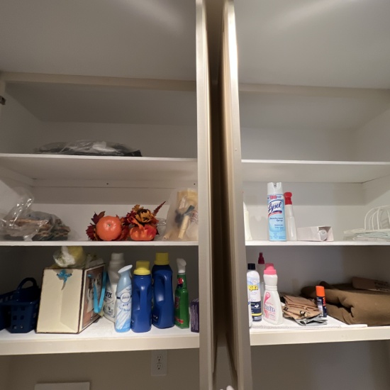 Cabinet Full of Laundry Soap, Cleaners & Misc