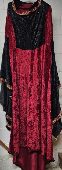 Long Flowing Devore Velvet Renaissance Style Costume