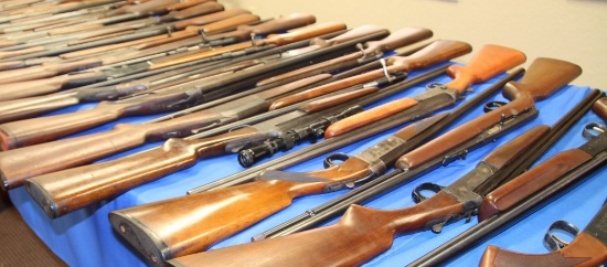 Firearm Auction