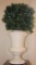 White Urn Planter