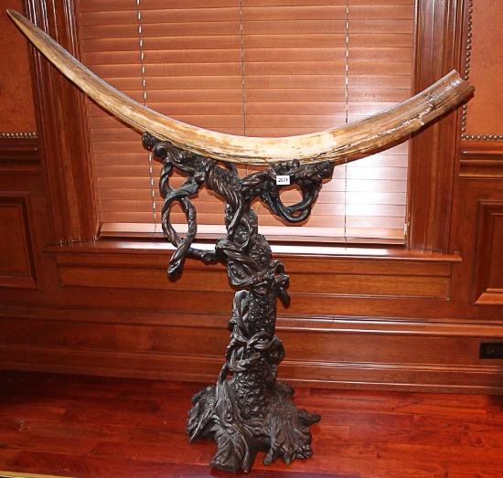 Mammoth Tusk with stand