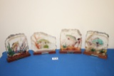 4 Wald Freshwater Challange Fish plaques