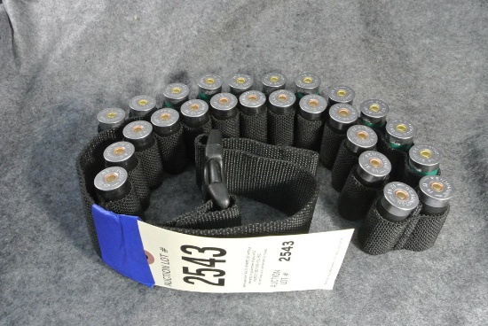 Ammo Belt W Shells
