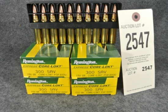 Remington Ammo
