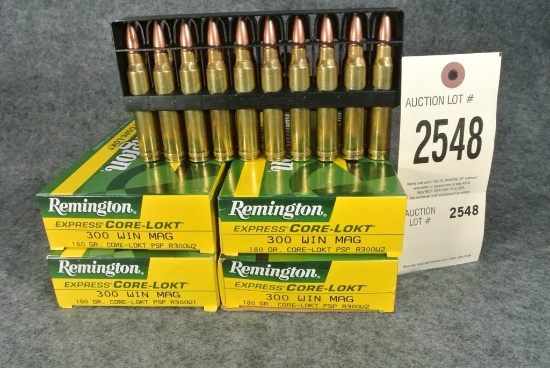 Remington Ammo