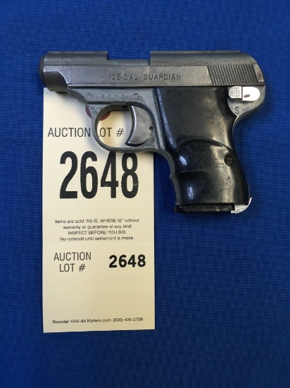 Guardian Pistol