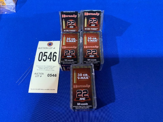 Hornady .22 Ammo