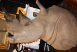 Reproduction Rhino shoulder mount