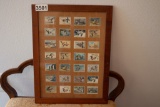 Framed Duck Stamps