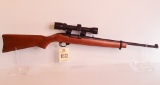 Ruger 10-22 Rifle
