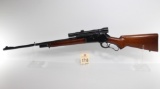 Winchester, M-71, .348 win. Rifle