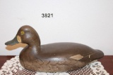 Blue Winged Teal Decoy