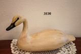 Trumpeter Swan Decoy