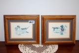 Pair of framed duck prints
