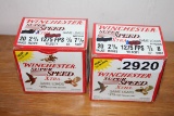 20 ga ammo