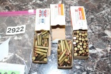 .22 ammo