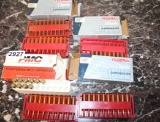 .243 ammo